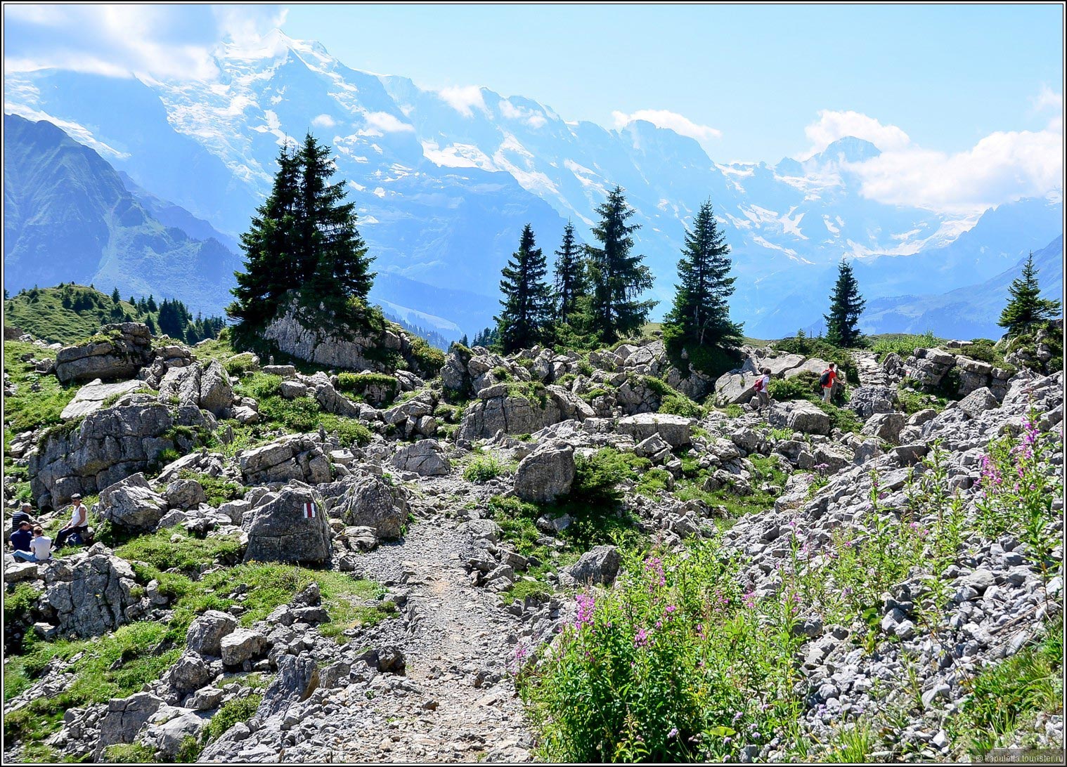 Schynige Platte (Wilderswil)